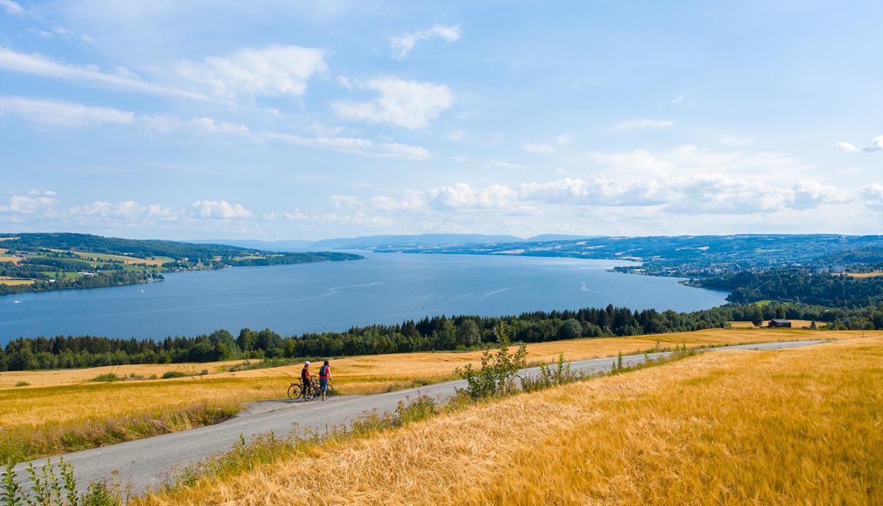 Mjøstråkk, sykkeltur rundt Mjøsa, dronebilde med utsikt over Mjøsa. Innlandet
