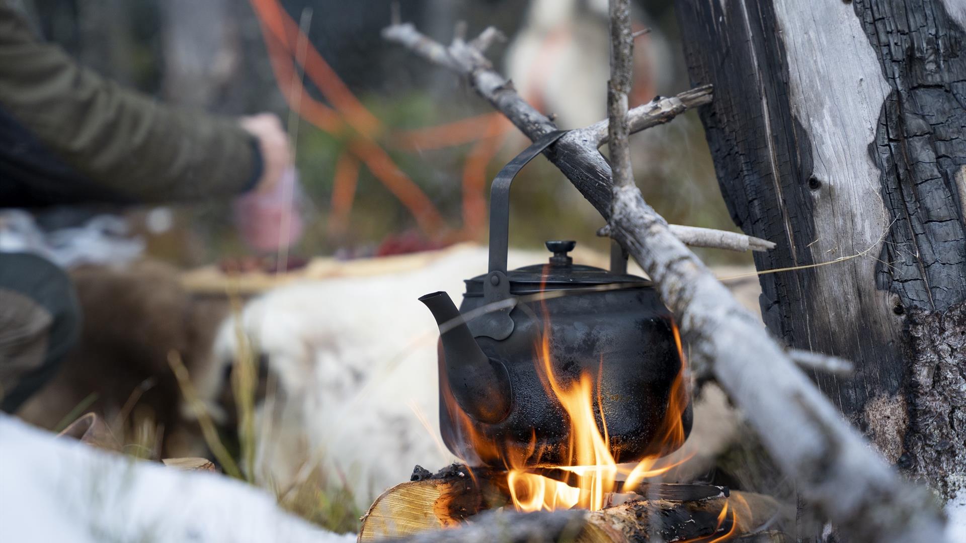 Bålhygge i Finnskogen er del av opplevelsen rundt Tiurleiken
