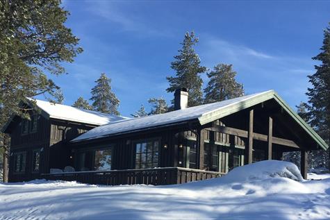 The Lygna cabin - Top modern cabin vacation