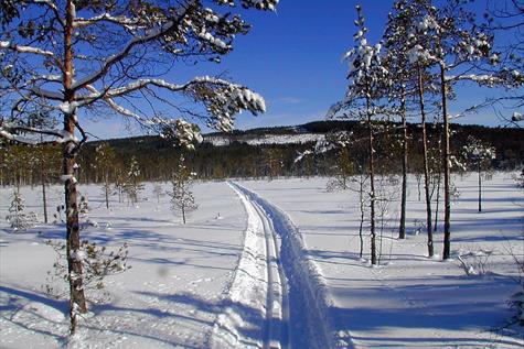 Cross-country skiing in Våler