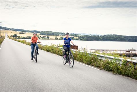 Cycling by lake Mjøsa - Bike rental in Tingnes
