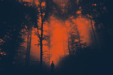 Det er bildet av en person som står i skog