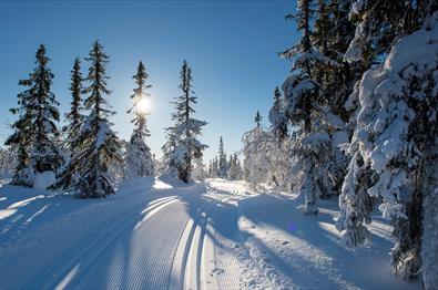 Skitur - foto Bjørn Stuedal