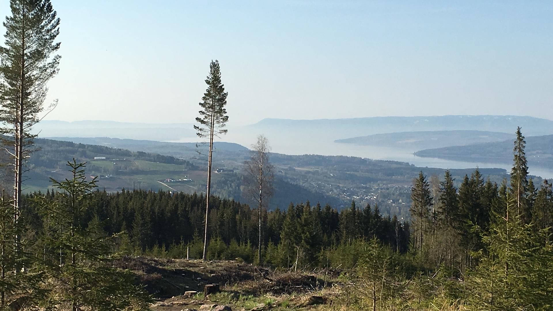 View from Børgeberget (foto Ringsaker kommune)