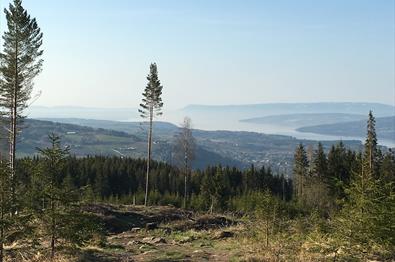 View from Børgeberget (foto Ringsaker kommune)