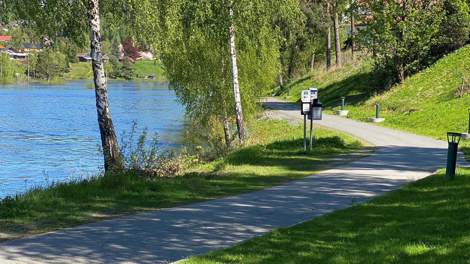 Elvelangs tursti i Hønefoss