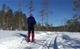 Fine skiløyper - Finnskogen Nord