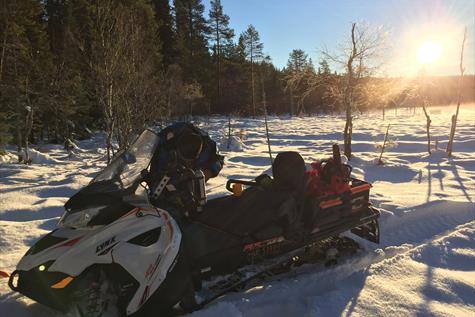 Gravberget snowmobile trails
