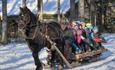 Anno Norsk skogmuseum - Hest og slede