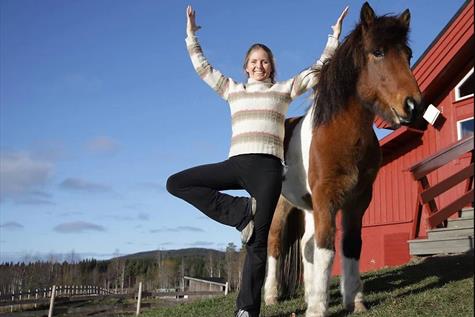 Icelandic horseback rides in the woods