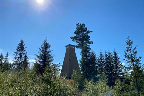 Branntårnet i Hornkjølberget