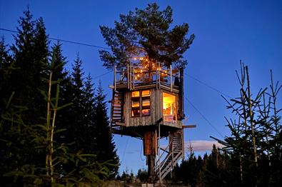 Tree top cabins in Brumunddal