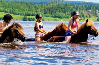 Horseback experiences - Mesna Activities & Accommodation