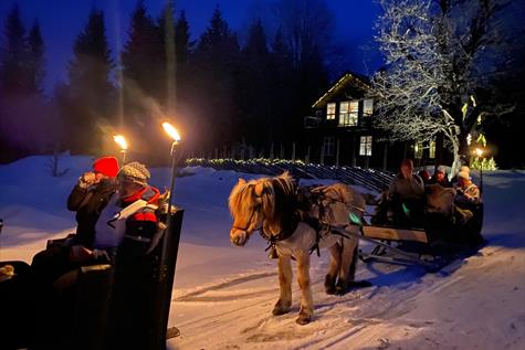 Horse sleigh rides near Brumunddal
