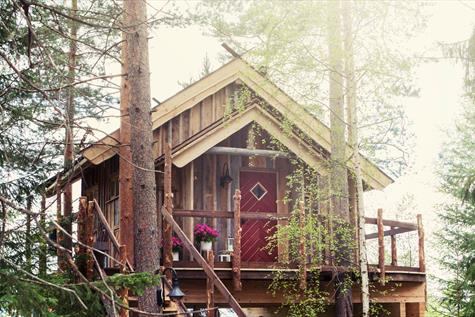 Tree top cabins in Brumunddal