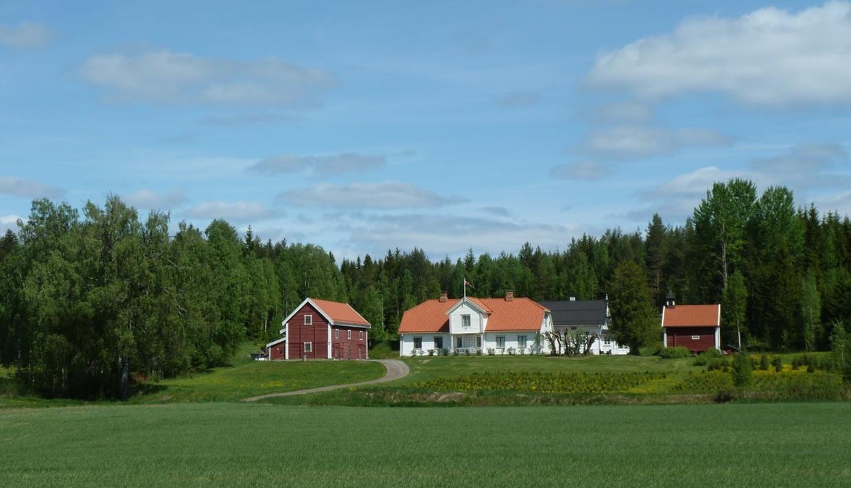 Munthegaarden i sommerskrud, Laila Bekkedal