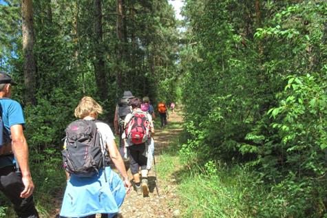 The Pilgrims trail through Ringerike