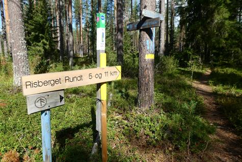 Hiking around Risberget (5 or 11 kilometres)