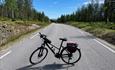 Rute 3 Sykkel på landevei Finnskogen