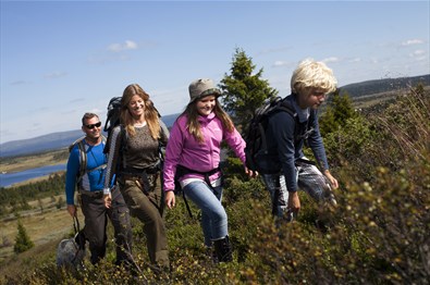 Destination Sjusjøen - Experience the nature