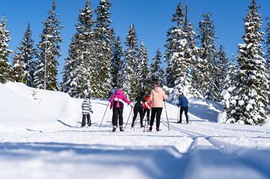 Sjusjøen, langrenn, familie på skitur, Innlandet