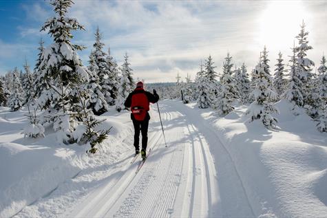 Cross-country skiing Øståsen Søndre Land