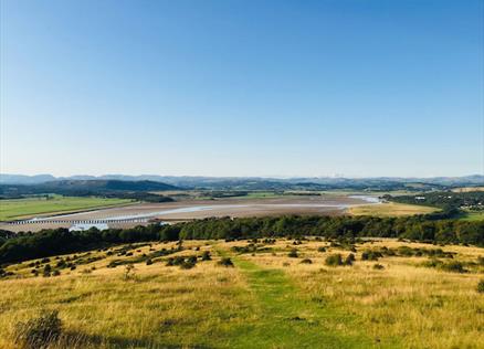 Hidden Gems of Cumbria - Arnside Knott