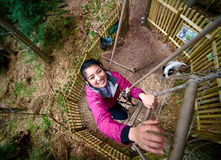 Visitor climbing the Treetop Challenge at Go Ape Grizedale
