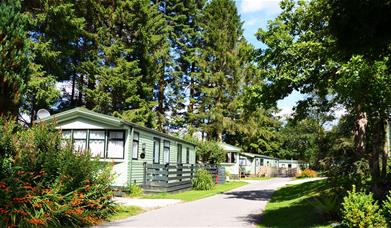 Lush surroundings at Newby Bridge Country Caravan Park in Newby Bridge, Lake District