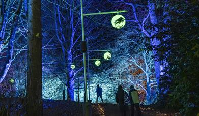 a night-time outdoor scene at Sizergh with several people walking along a path through a forest. The trees are illuminated with vibrant blue and white