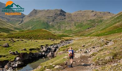 Visitor on a Walking Holiday with Coast to Coast Packhorse in the Lake District, Cumbria