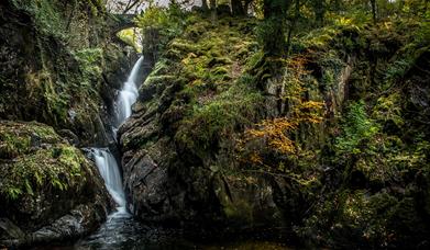 Beautiful natural scenery at Aira Force Waterfall in Matterdale, Lake District © National Trust Images, John Malley