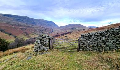 Photo of a fence in Cumbria surrounded either side by a stone wall