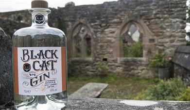 Black Cat Gin at Black Cat Distillery at Brougham Castle near Penrith, Cumbria