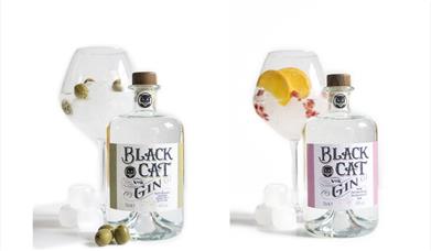 Gins from Black Cat Distillery at Brougham Castle near Penrith, Cumbria