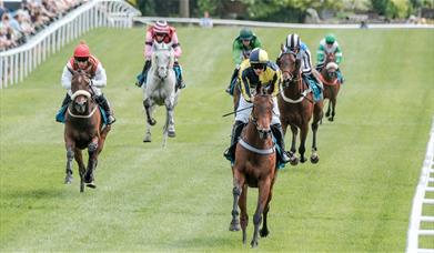 Cartmel Racecourse in Cartmel, Cumbria