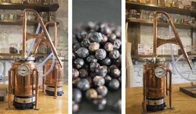 Stills and Juniper Berries at Gin Making Workshops at Black Cat Distillery at Brougham Castle near Penrith, Cumbria