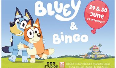 Poster for Bluey and Bingo at the Ravenglass and Eskdale Railway in Ravenglass, Cumbria
