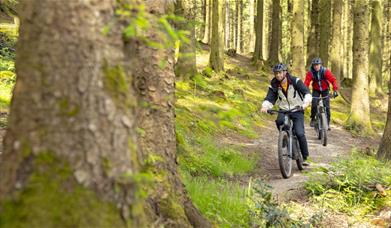 Visitors on a mountain biking trail at Whinlatter Forest in the Lake District, Cumbria