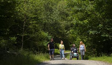 Visitors on a trail at Grizedale Forest in the Lake District, Cumbria