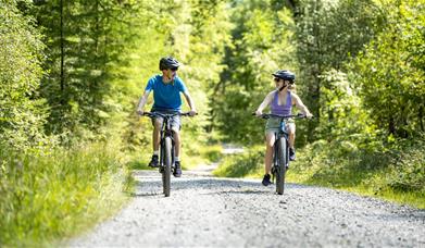 Cyclists on a mountain biking trail at Grizedale Forest in the Lake District, Cumbria