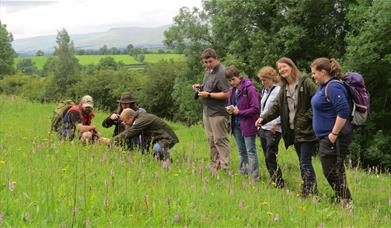 Wildlife and Nature Walk with Cumbria Wildlife Trust in the Lake District & Cumbria