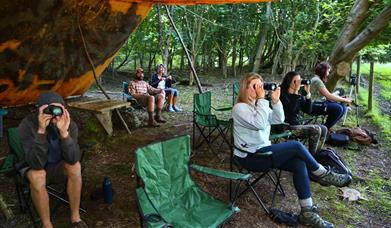 Look for Wildlife at Night-Time Wildlife Adventure with Cumbria Wildlife Trust in the Lake District