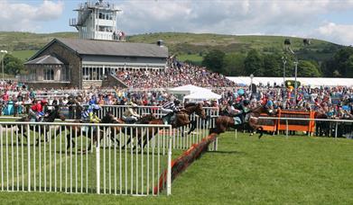 Cartmel Race Days