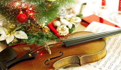 Violin placed face up next to a Christmas tree