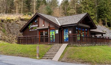 Cyclewise in Whinlatter Forest in the Lake District, Cumbria