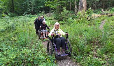 Walkers on the Derwent Water and Cockshot wood accessible loop near Keswick, Lake District