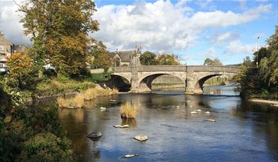 Bird’s Eye Kendal