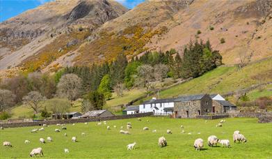 Exterior and Stunning Views from Fornside Farm Cottages in St Johns-in-the-Vale, Lake District