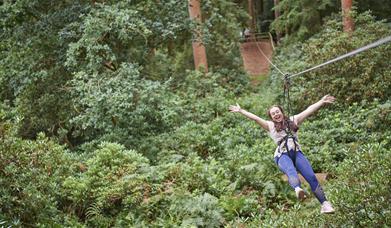 Visitor on the Zipline at Go Ape in Grizedale Forest in the Lake District, Cumbria